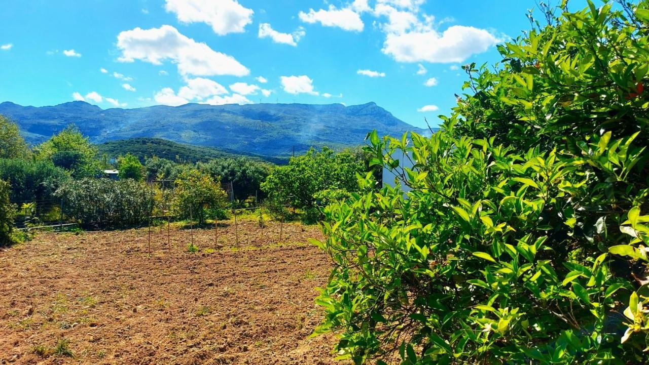 Agritourism Cottage Near Sitia エクステリア 写真