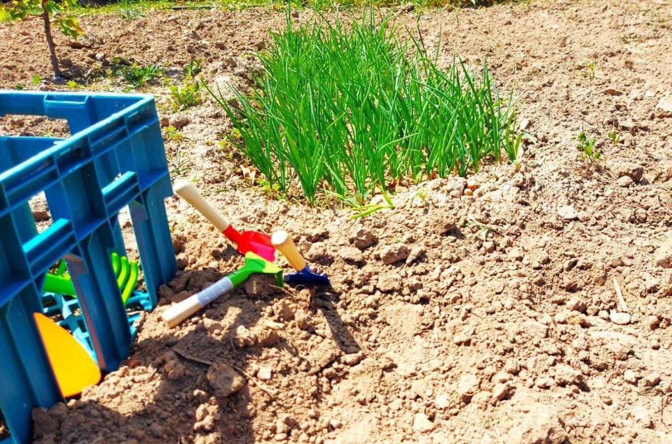 Agritourism Cottage Near Sitia エクステリア 写真